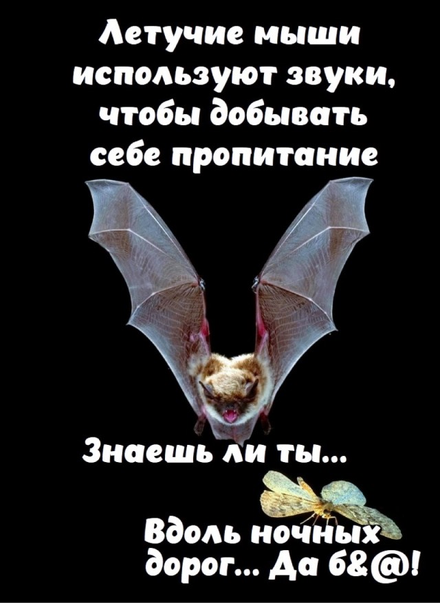 Немного картинок накануне выходных