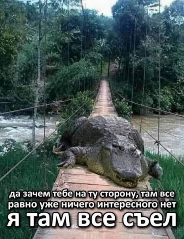 Картинки для деградации 59 (разной степени свежести)