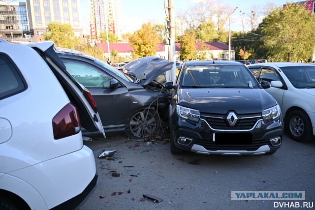 Объезжал голубя