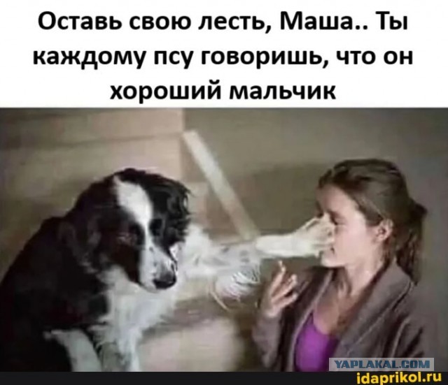 Забавные и не очень скромные картинки - 17