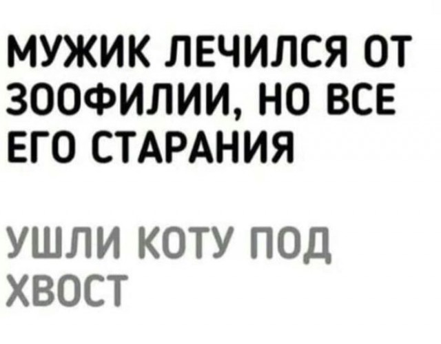 Картинки для деградации 104 (разной степени свежести)