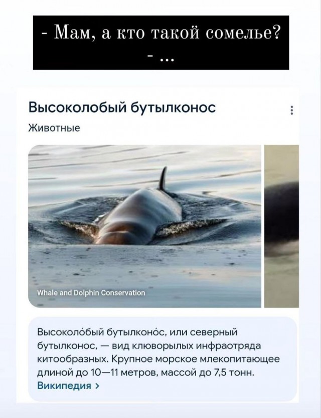 Дегрономикон  депрессивный 3