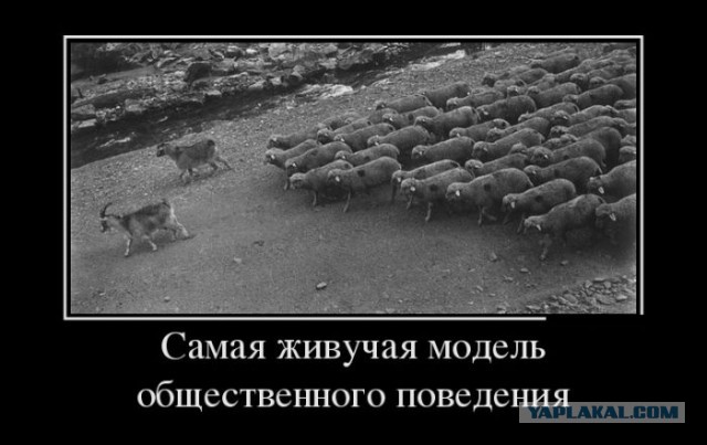 Беспредел на дороге