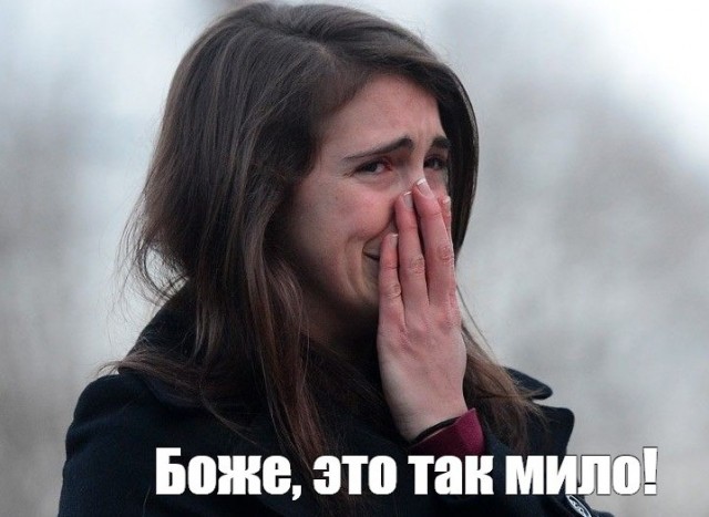 Трогательная история
