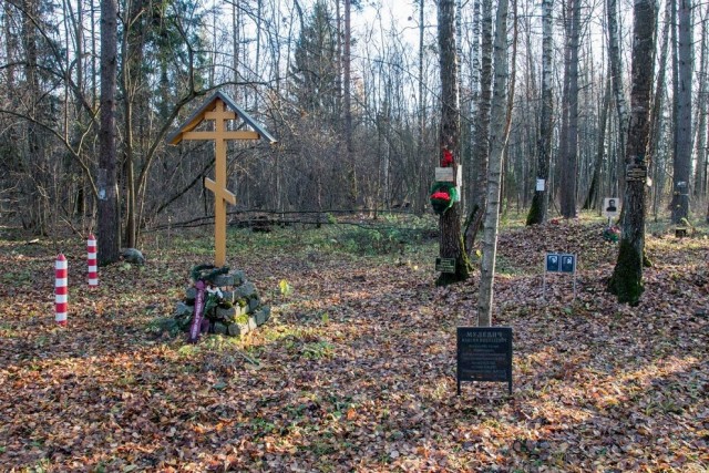 Пять жутких лесов