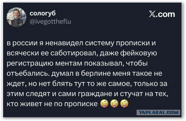 Фигасе мажорище! Пять штук схомячила, сучара! Я аж черной икрой подавился от возмущения!