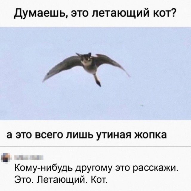 Так себе картинки 17.05.26
