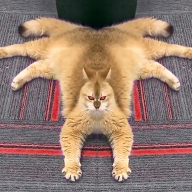 Зазеркалье