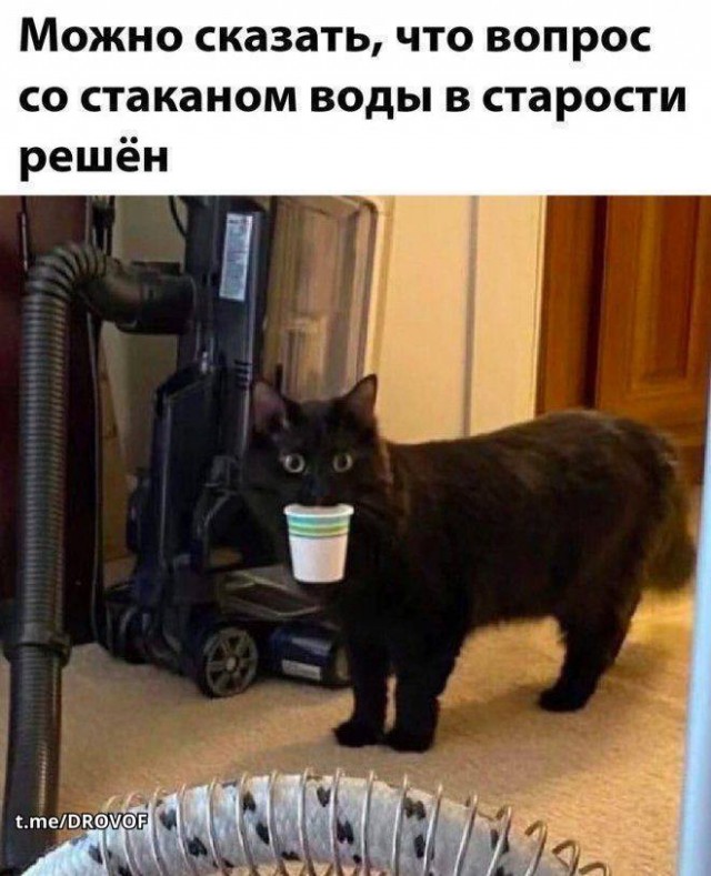 Так себе картинки 08.07.26