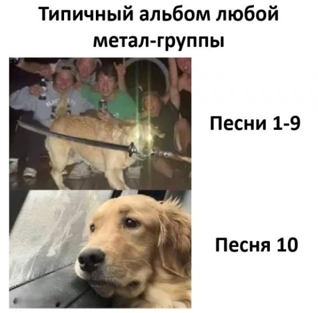 Веселые картинки в понедельник (24.08)