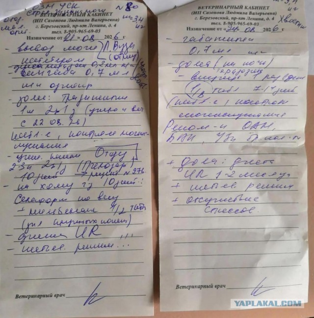 Спасти животинку.