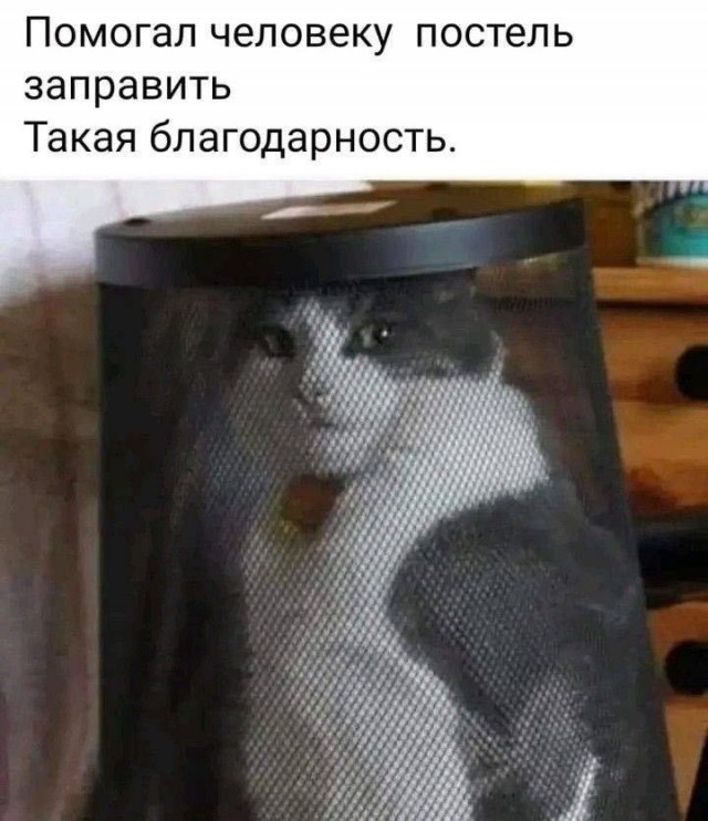 Картинки для деградации 264 (разной степени свежести)