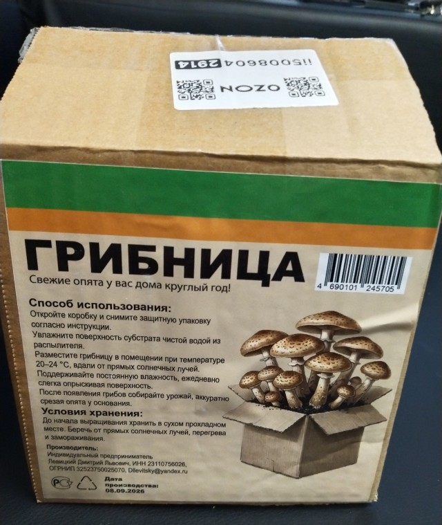 Перевод с женского⁠⁠