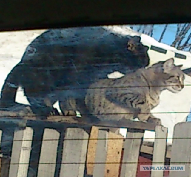 В ночь с 28 февраля на 1 марта. Без предупреждения