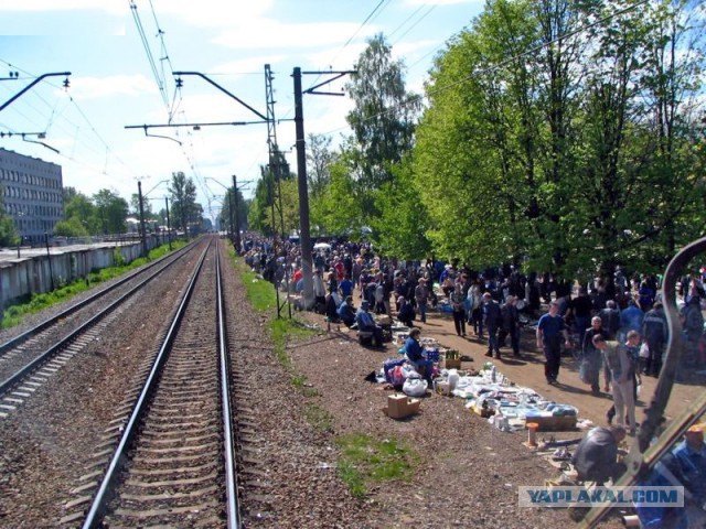 Удельный рынок в Санкт- Петербурге