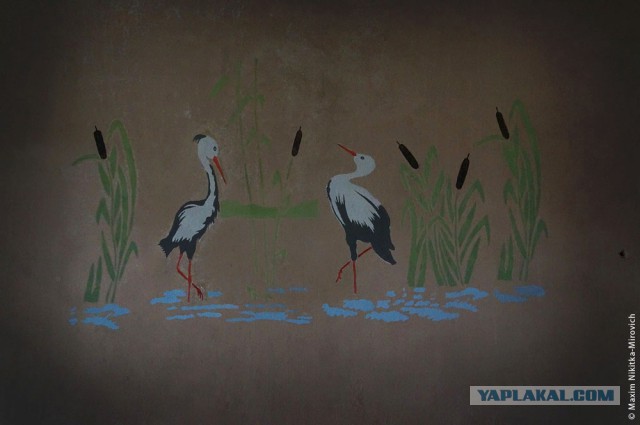 «Радиоактивный» санаторий под Минском.