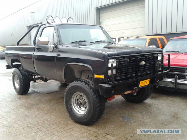 Где яблоки растут!