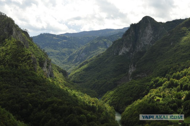 Черногория