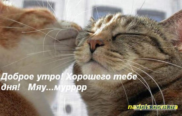 Кому юки отсыпать?