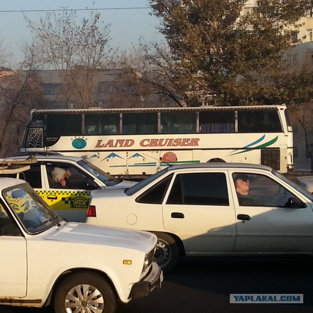Жемчужина Казахстана! Almaty Tapok Edition