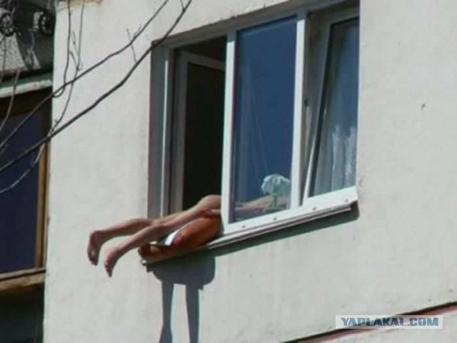 Веселые картинки.