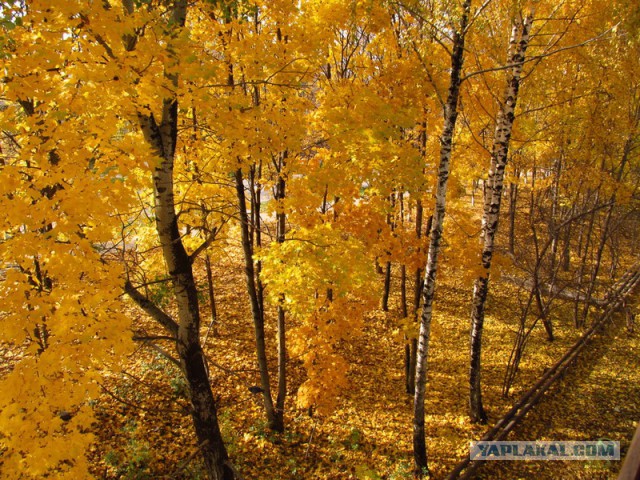 А что у Вас сейчас?