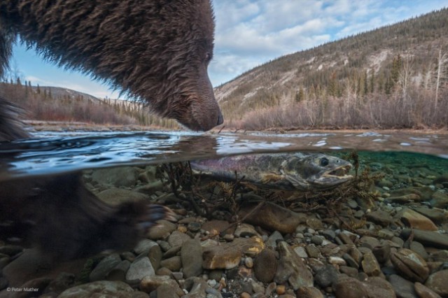 Лучшие фотографии года