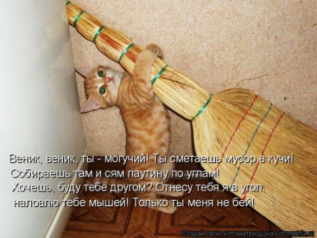Веселости попавшиеся на глаза сегодня