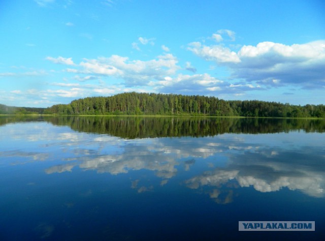 Фото, сделанное изнутри палатки,