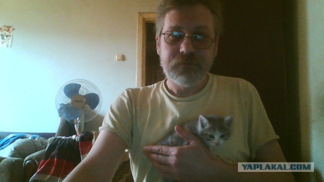Жизнь котейкам.