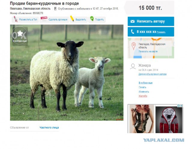 Как живет казахский миллионер