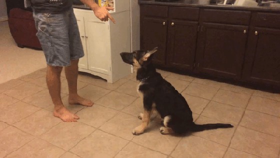 А у тебя пистолет настоящий?