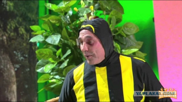 Не бойтесь шершней!