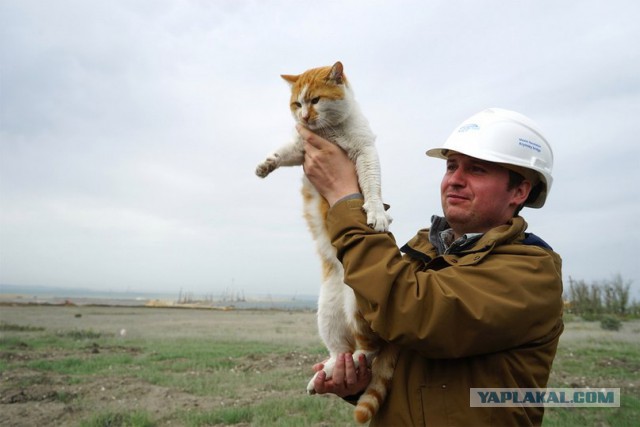 Крымский мост с МКС