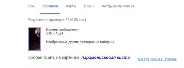 Гендерный срач.