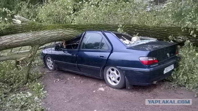 Тачки разбитые ураганом в Минске сегодня. Оригинальные отборные фото!