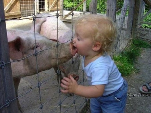 Несколько картинок