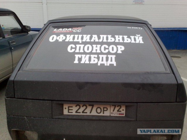 Мои фотки