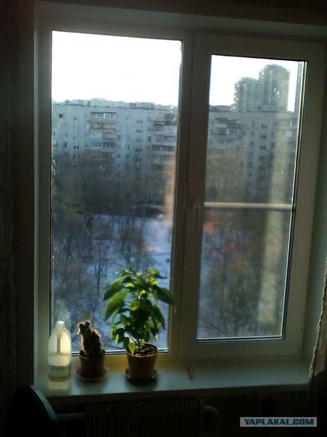 Предлагаем остекление и отделку балконов и лоджий в г. Москве и Московской области