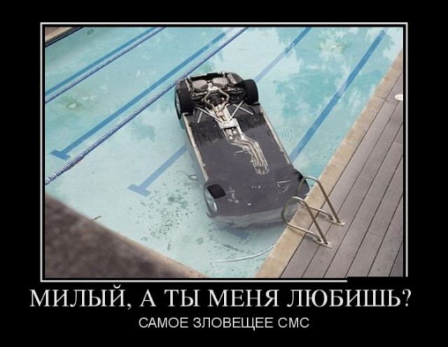 Фото из этих ваших интернетов