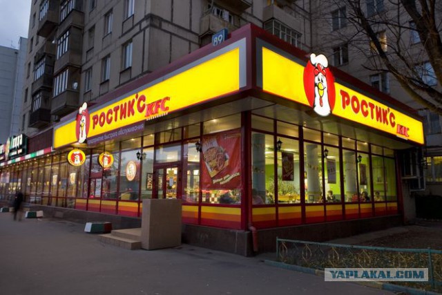 Волк напал на собаку!