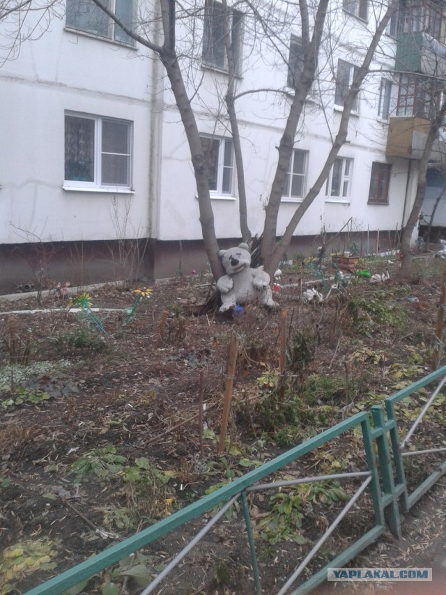 Подборка интересных и веселых картинок