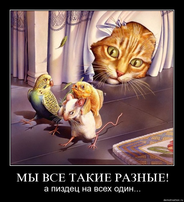 Юмор не для них...