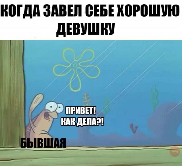 И снова стандартный юмор