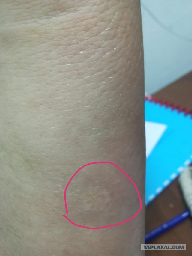 Vespa mandarinia japonica нападает