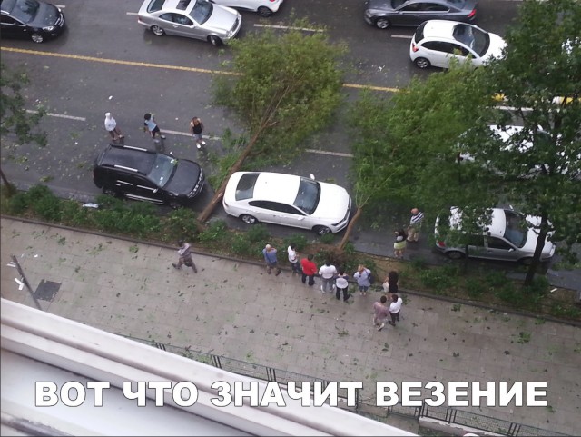 Прикольные картинки обо всём