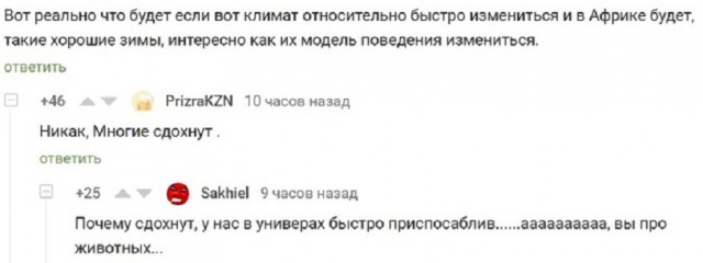 Прикольные комментарии и высказывания из Сети