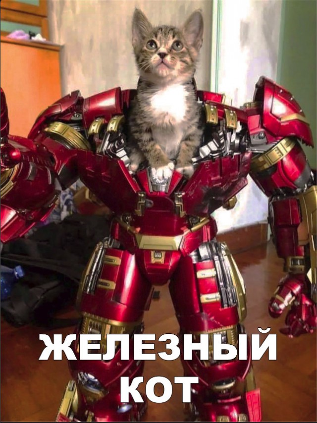 Немного милоты
