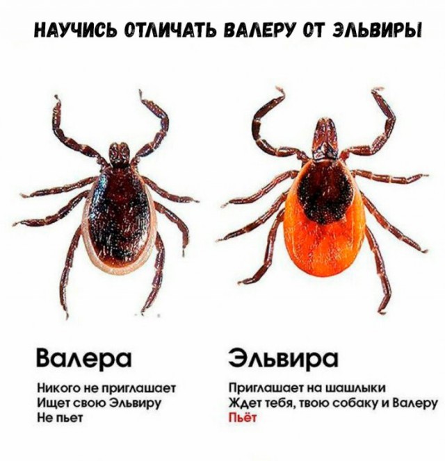 Немного картинок для настроения
