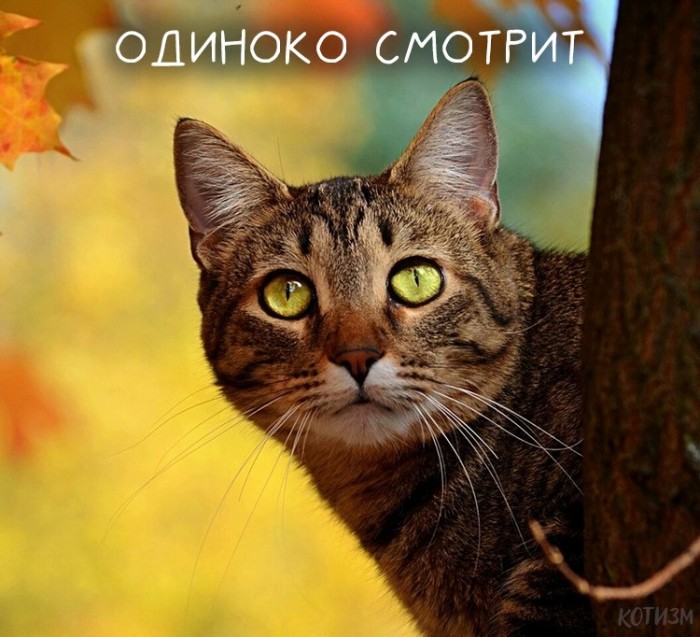 Фотоподброка на воскресенье 03.11.2019